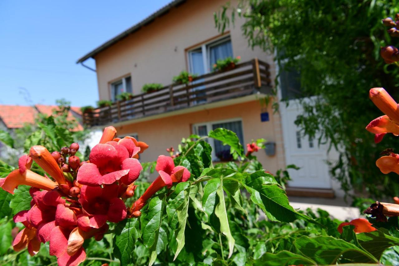 רקוביצה Apartman Dorijan מראה חיצוני תמונה